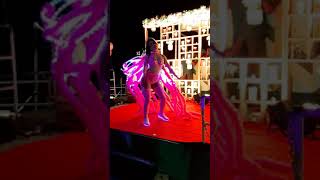 Adios, Ricky Martin, Paradise Cruise, Charizma Entertainment, India