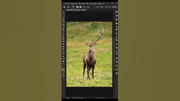 Adobe Photoshop 2026 - Tips to using Clone Tool like a PRO #shorts #anikgraphic