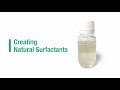 Easy Natural Surfactant formula