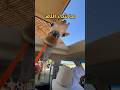ايش ممكن تسوي في العين