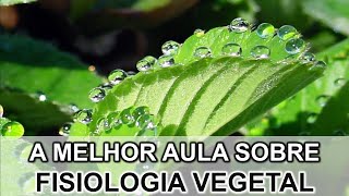 A MELHOR AULA SOBRE FISIOLOGIA VEGETAL
