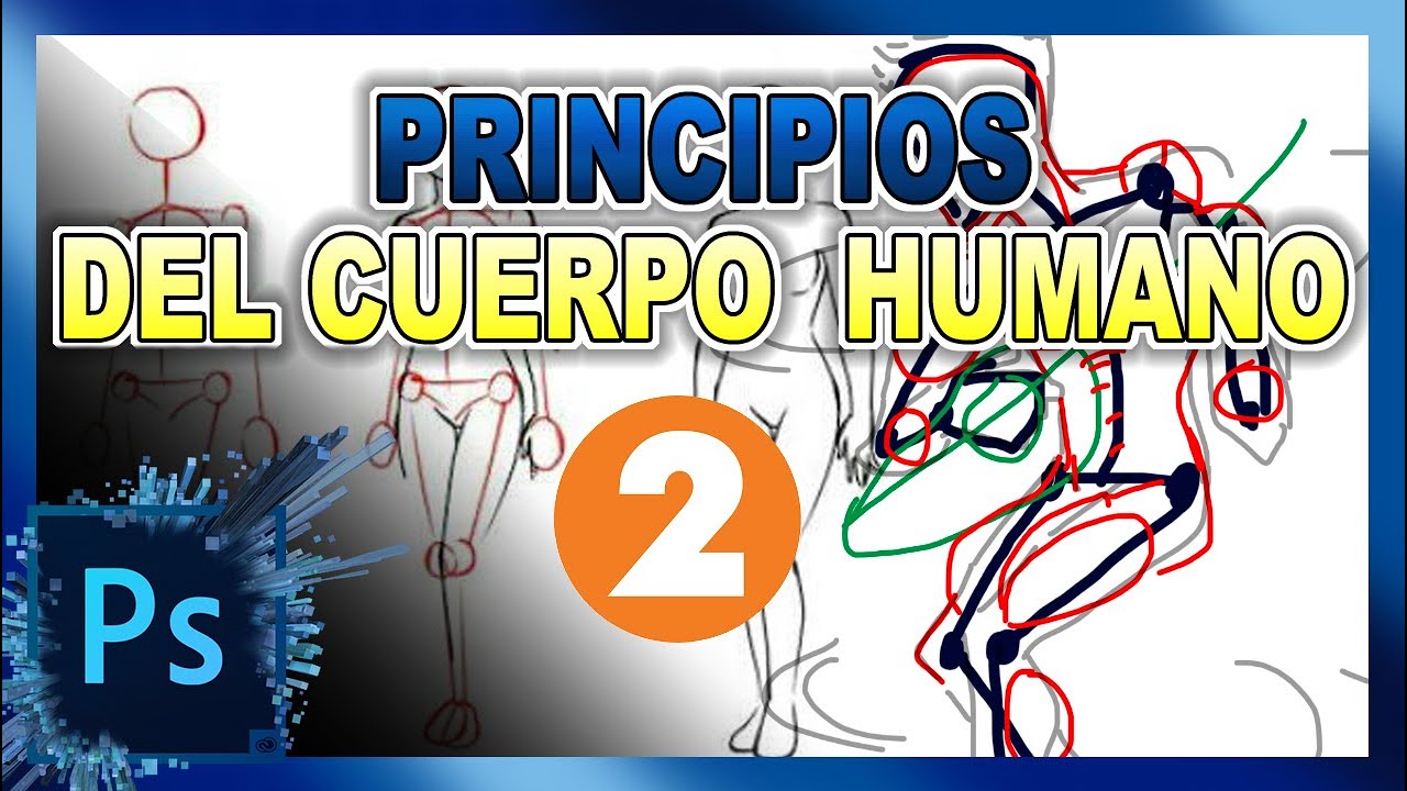 Principios del Cuerpo Humano - YouTube