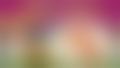 Play mega run collect coins and data.