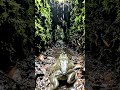 Frog POV: Inside a Real Mud Burrow