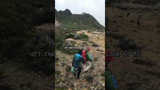 VIBE - TAEYANG FEAT JIMIN #VIBE #TAEYANG #JIMIN #short #kpop