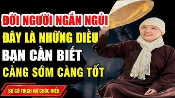 Đời người ngắn ngủi: Đây là những điều bạn cần phải biết càng sớm càng tốt để sống mà không hối tiếc