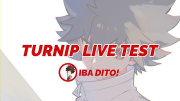 TURNIP LIVE TEST 2 (WertzPK
