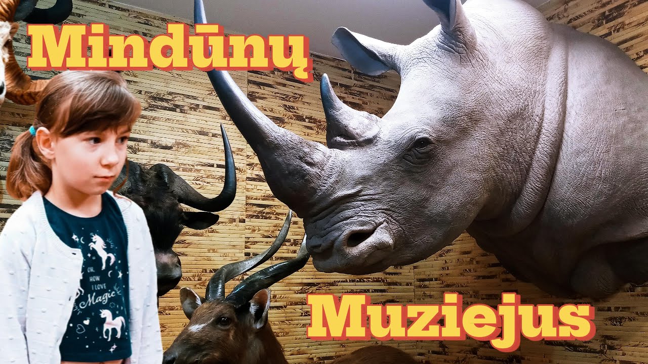 Iškamšos, trofėjai ir senoji buitis. [4K] 2024_06_01