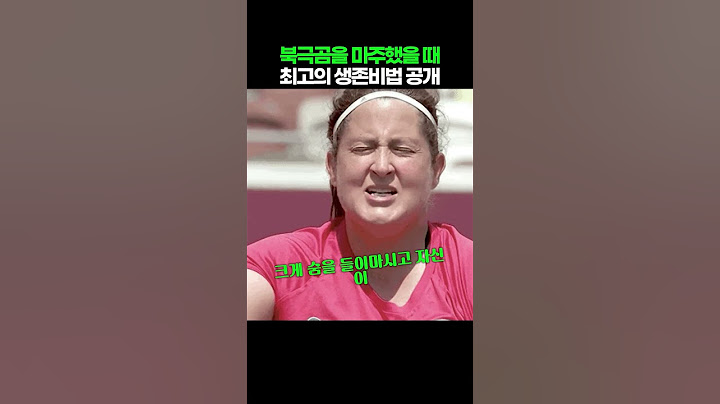 북극곰을 마주했을 때 최고의 생존비법