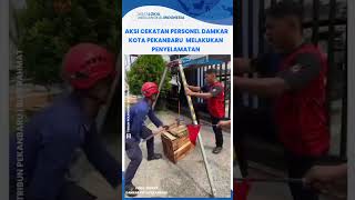 Aksi Cekatan Personel Damkar Pekanbaru Lakukan Penyelamatan