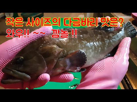 작은 사이즈의 다금바리!! 과연 그 맛은?? 깜놀!!!