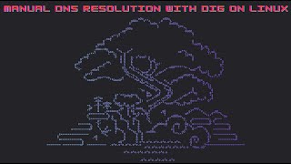 Manual DNS Resolution