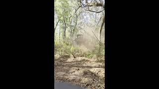 Professional Land Clearing and Forestry