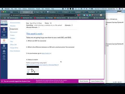 2.2 Python 3 - Programming with "repl.it"