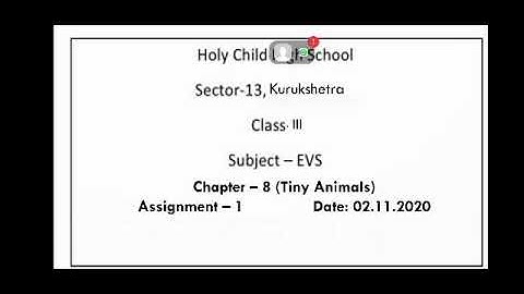 Class 3 EVS Chapter 8 Tiny Animals Part 1