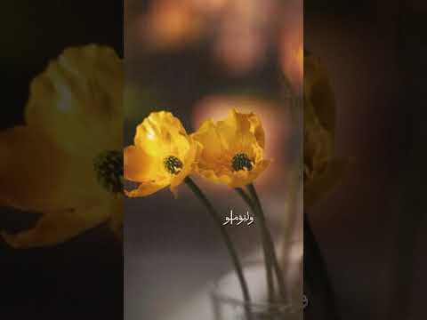 اللهم استجب دعاءنا ولا تردنا خائبين ولا عن بابك مطرودين ومتعنا بالنظر إلى وجهك الكريم
