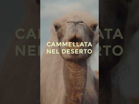 What To Do In Egypt 4 Experiences Not To Be Missed Alpitour