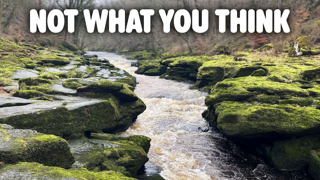 The Truth About the Stream That 'Nobody Survives'