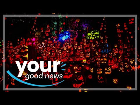 The Best Of The Week Of Oct 20 2025 Your Good News 