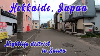 Walking in Hokkaido, Japan. Nightlife district in Eniwa. ORANGE ua