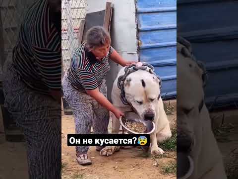 #лайфхак как кормить