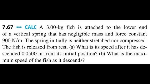 A 3.00-kg fish is attached to the lower end of a vertical spring that has negligible mass and force
