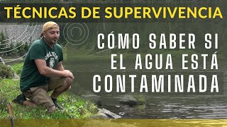 08.- SUPERVIVENCIA - Cómo saber si el agua está contaminada [MACROINVERTEBRADOS BIOINDICADORES]