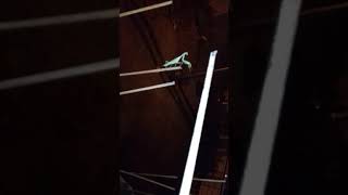 Naktoda Dance In Mahadev Kudare Appa Site In Shelgi,Solapur,Maharashtra