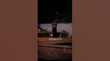وَمَا مِن دَابَّةٍ فِي الْأَرْضُ|القارئ محمد صديق المنشاوي|القرآن الكريم #قرآن تلاوة خاشعة