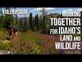 Taking agency  outdoor idaho