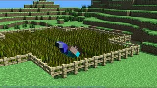 Steve backflip animation