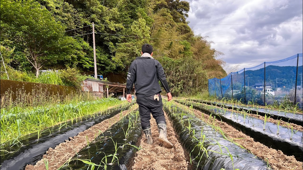 初投稿！ここから始まる高知県須崎市から全国へ！ YouTube