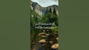 وَلَا تَتَمَنَّوْا مَا فَضَّلَ اللَّهُ || سورة النساء || علي جابر