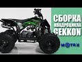 Детский квадроцикл Motax GEKKON | Сборка квадроцикла