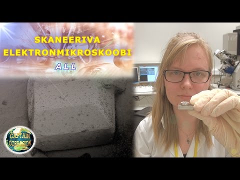 Video: Kas skaneeriv elektronmikroskoop maksab?