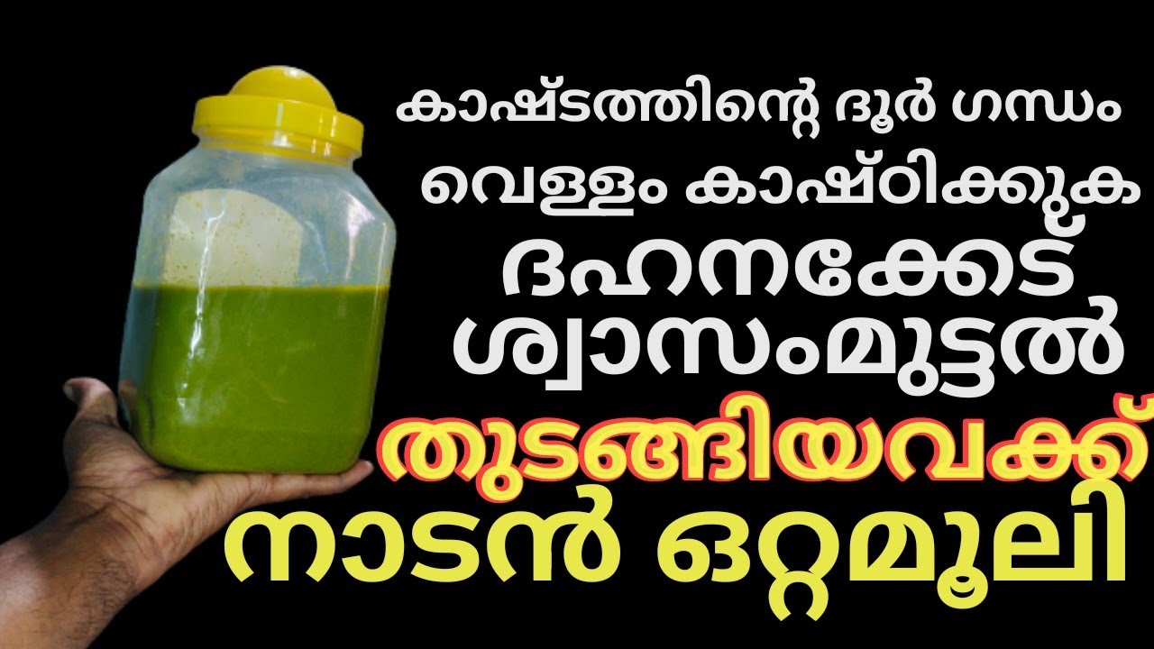 കോഴികളിലെ 5 പ്രധാന അസുഖങ്ങൾക്കുള്ള ഒറ്റമൂലി... 100 % success/ ഫാമിലെ ദുർഗ്ഗന്‌ധം ഇല്ലാതാക്കാം