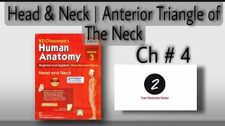 Anterior Triangle of the Neck | Head and Neck | Chapter 4 | BD Chaurasia | Volume 3