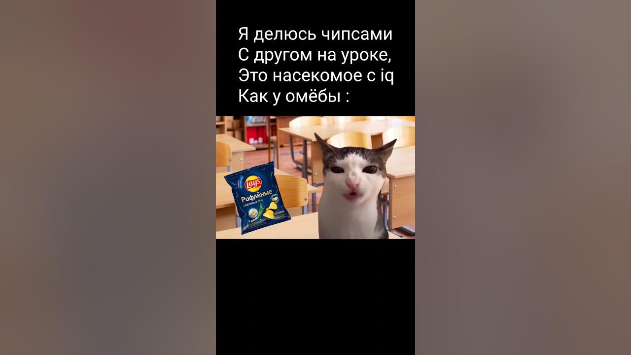 El gato cat мем. Хрустящий кот видео. Хрустящий кот видео. Хрустящий кот видео. Хрустящий кот видео.