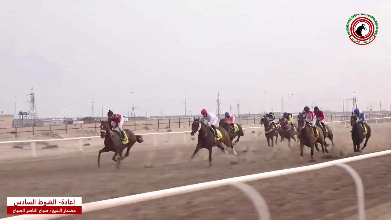 بث مباشر - مضمار الشيخ صباح الناصر الصباح - الأجتماع العاشر -  لموسم 2024-2025