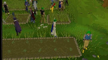 Runescape: Farming Skill Release 07/11/2005