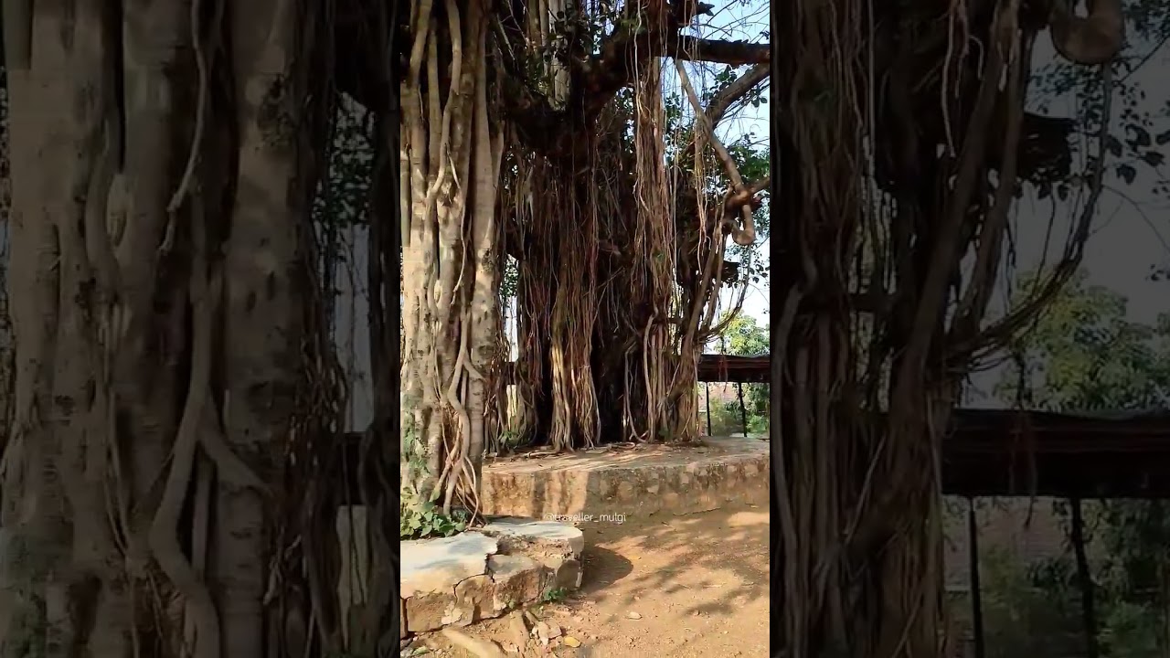 साने गुरुजी राष्ट्रीय स्मारक ❤