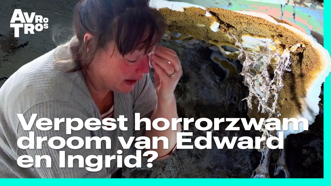 Bijna €1.000.000 kwijt aan VERBOUWING oud TREINSTATION | Ik Vertrek