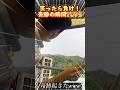 笑ったら負け！奇跡の瞬間＃おもしろ動画＃面白集＃バズ動画＃奇跡の瞬間 #funny