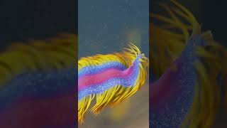 blast from the past: KineFX 101 - pt. 20
Have you seen ALL episodes of our KineFX course?
Chris teaches you how to create procedural walkers, cool sea slugs and other fun ways to animate with KineFX without the need of being a Pro at animating!
If you have not seen it, consider becoming a Patreon and support us!
You will get access to all our courses and make it possible for us to push out even more free content for all!
Win Win!
Song: Sonic303 - Glitch blast from the past: KineFX 101 - pt. 20