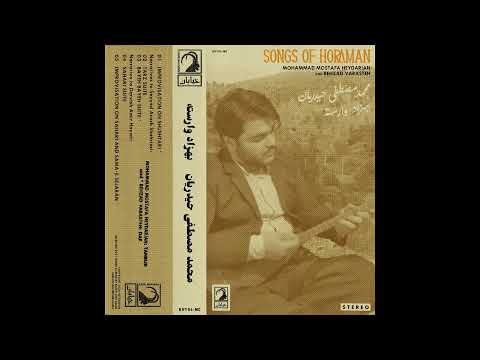 Mohammad Mostafa Heydarian Behzad Varesteh Improvisation Based On Shushtari 