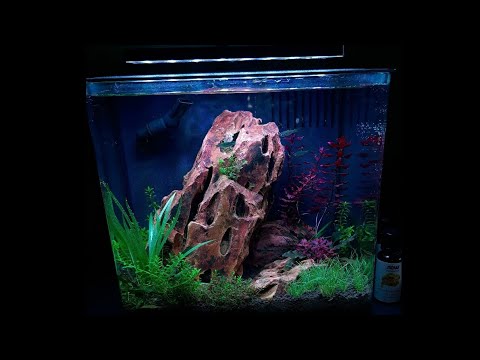 3 Stone Nano Aquascape | 4 Gallon Planted Aquarium | No CO2 | ADA Ohko Stone