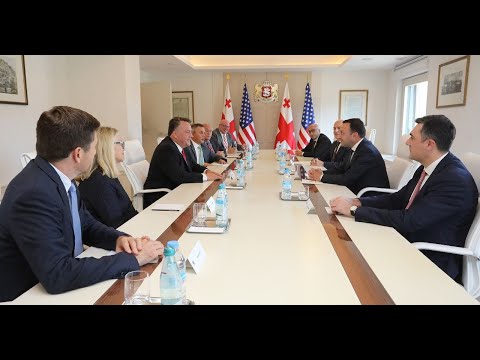 პრემიერ-მინისტრი აშშ-ის კონგრესმენთა დელეგაციას შეხვდა