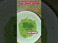கொத்தமல்லி துவையல் #food #thuvaiyalrecipe
