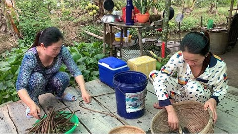 Cách Ngươi Dân Ở Quê Mưu Sinh Và Bữa Cơm Đạm Bạc - Hương Cù Lao