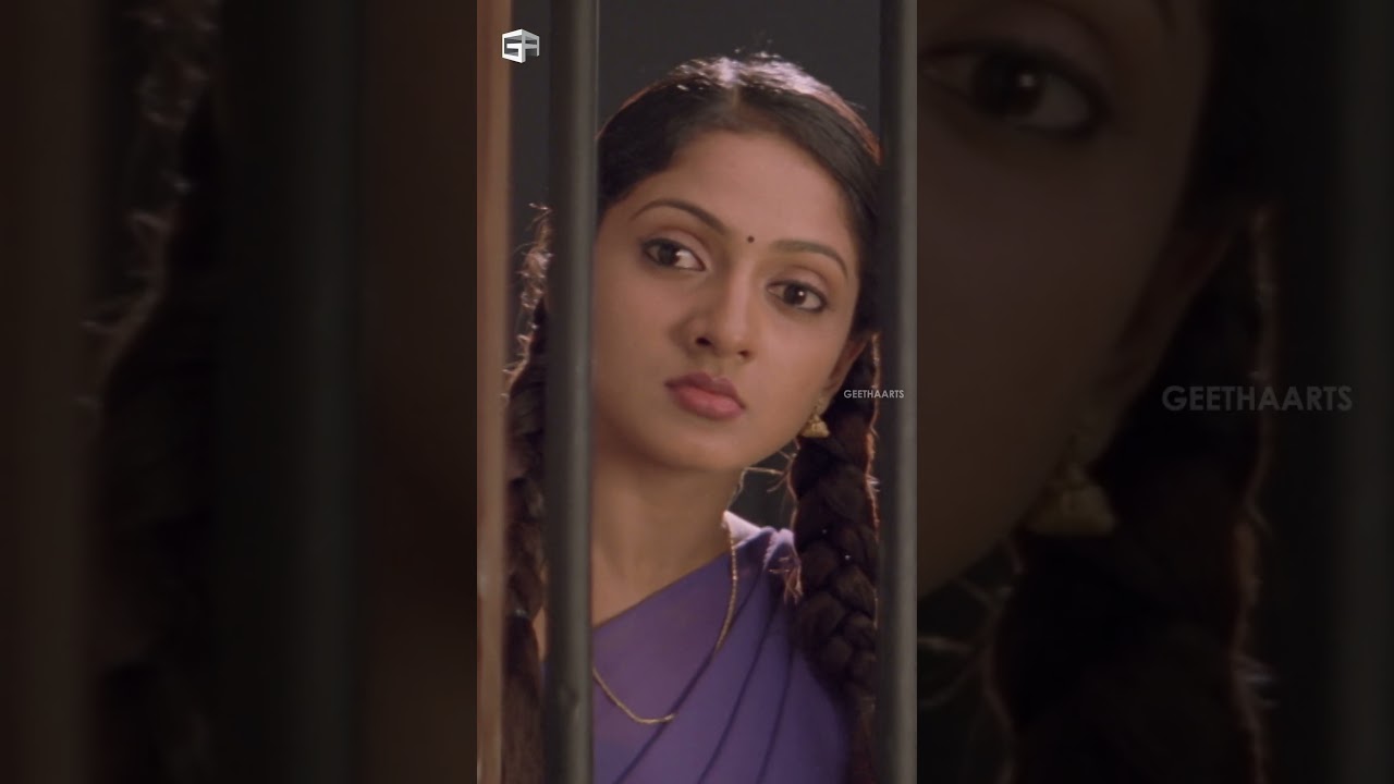 #Parugu Movie Scenes | #alluarjun #sheela #sunil #prakashraj #Jayasudha | #shortvideo #ytshorts